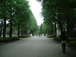 青山学院3.JPG