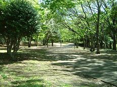 根岸森林公園７.JPG