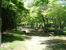 根岸森林公園９.JPG