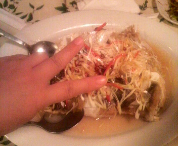 大きさがわかる?