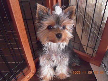 2009.11.09 DSCN2643.JPG