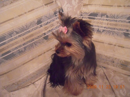 2009.11.23 DSCN2697.JPG