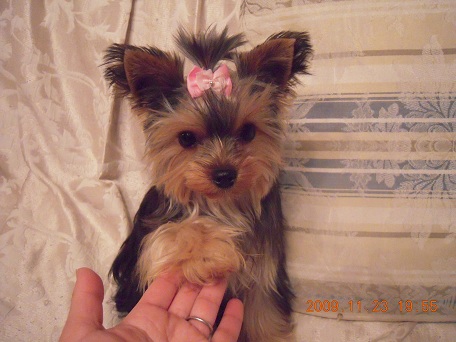 2009.11.23 DSCN2709.JPG