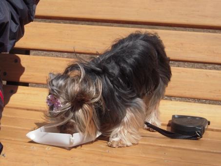 2011.03.19 DSCN3485.JPG