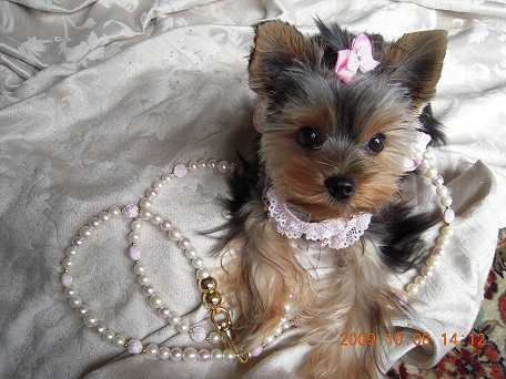 2009.10.08 DSCN2365.JPG