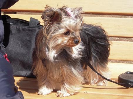 2011.03.19 DSCN3486.JPG