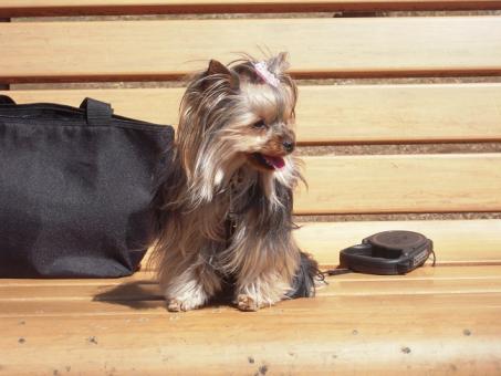 2011.03.19 DSCN3492.JPG