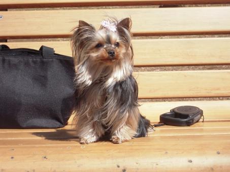 2011.03.19 DSCN3493.JPG