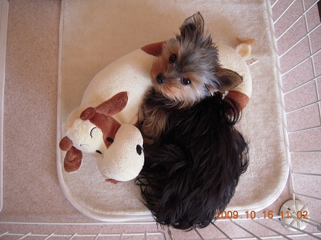 2009.10.16 DSCN2415.JPG