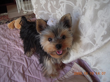 2009.10.19 DSCN2437.JPG