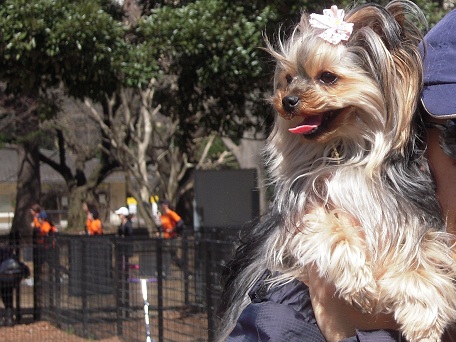 2011.03.19 DSCN3478.JPG　☆