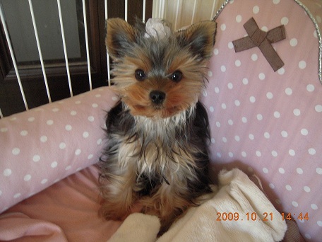 2009.10.21 DSCN2459.JPG