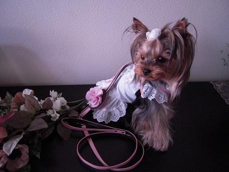 2011.05.13 DSCN3771.JPG