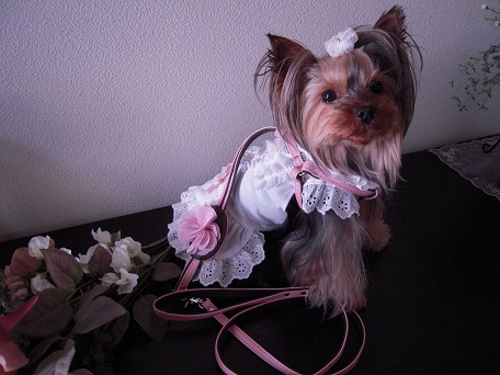 2011.05.13 DSCN3784.JPG