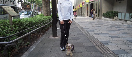 2010.10.16 DSCN3382.JPG