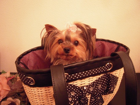 2011.05.26 DSCN3967.JPG