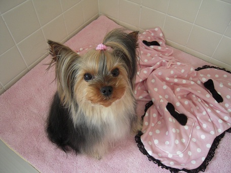 2011.05.17 DSCN3829.JPG