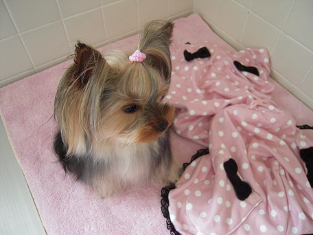 2011.05.17 DSCN3826.JPG