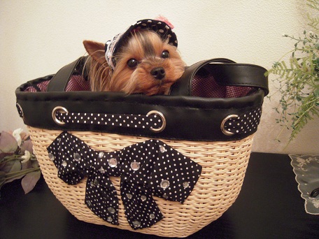 2011.05.26 DSCN3942.JPG