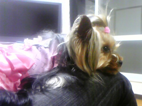 110602_220210 456×341 .jpg