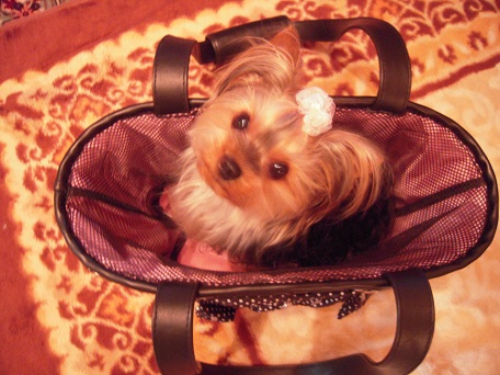 2011.05.26 DSCN3973.JPG