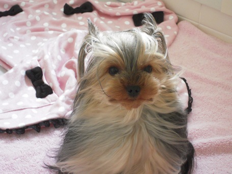 2011.05.17 DSCN3820.JPG