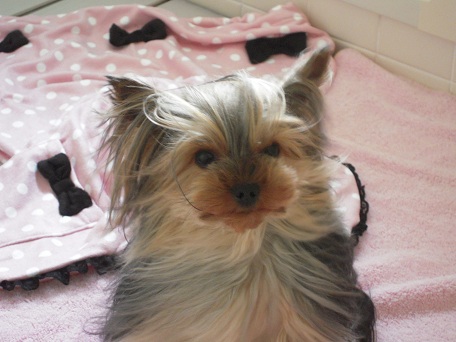 2011.05.17 DSCN3819.JPG