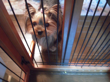 2011.05.29 DSCN3994.JPG