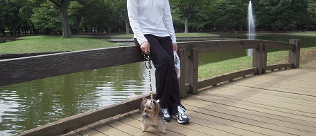 2010.10.16 DSCN3404.JPG