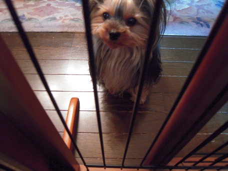 2011.05.29 DSCN3992.JPG