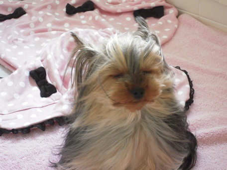 2011.05.17 DSCN3817.JPG