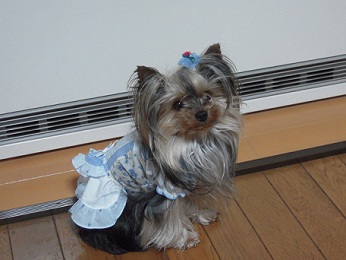 346×260 DSCN3532.JPG