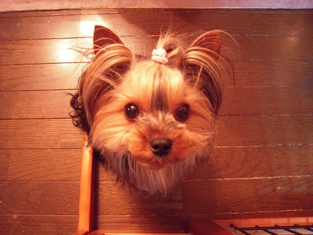 2011.05.29 DSCN4005.JPG