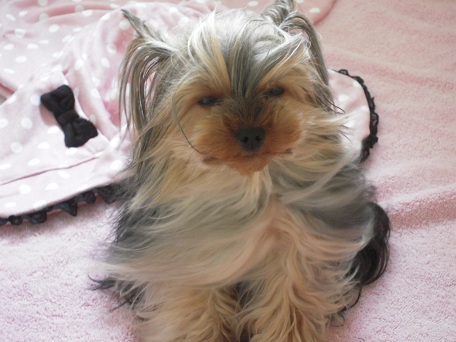 2011.05.17 DSCN3816.JPG