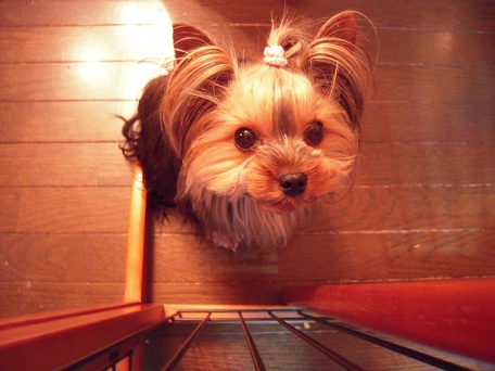 2011.05.29 DSCN4001.JPG