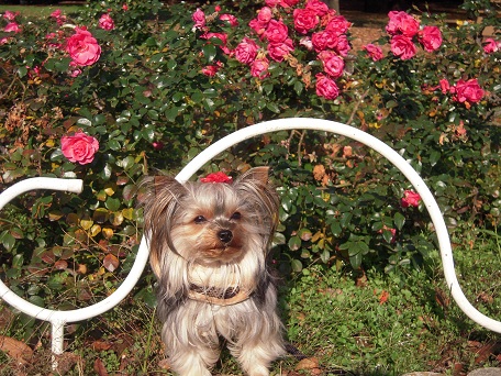 2010.11.27 DSCN3422.JPG