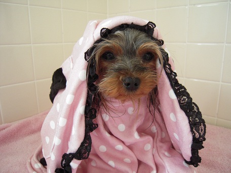 2011.05.17 DSCN3806.JPG