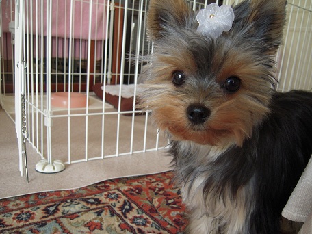 2009.10.23 DSCN2498.JPG