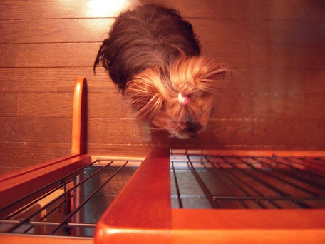 2011.05.29 DSCN3982.JPG