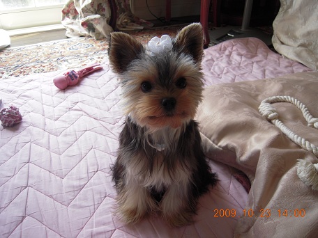 2009.10.23 DSCN2502.JPG