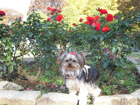 2010.11.27 DSCN3427.JPG