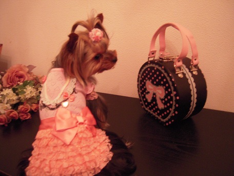 2011.06.02 DSCN4084.JPG