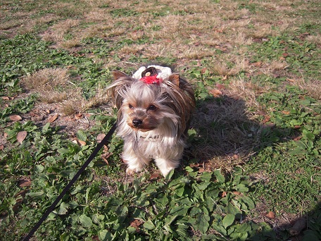 2010.11.27 DSCN3435.JPG