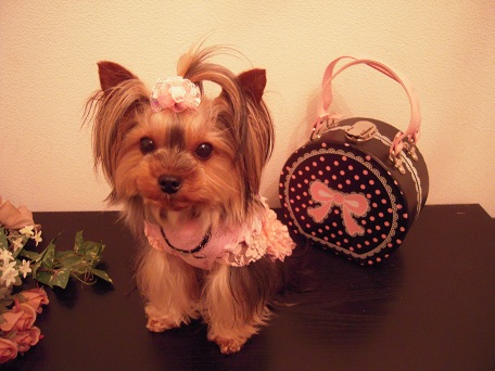 2011.06.02 DSCN4085.JPG