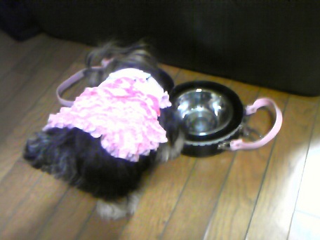 110602_214218 456×342 .jpg