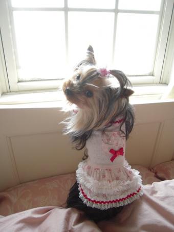 お外　雨ですよ