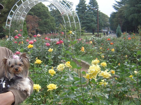 2010.10.17 DSCN3409.JPG