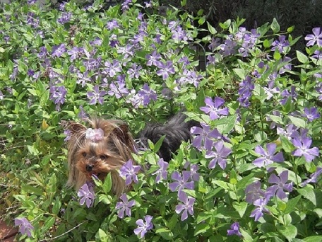 2011.05.04 DSCN3690.JPG