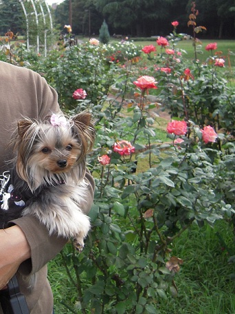 2010.10.17 DSCN3410.JPG