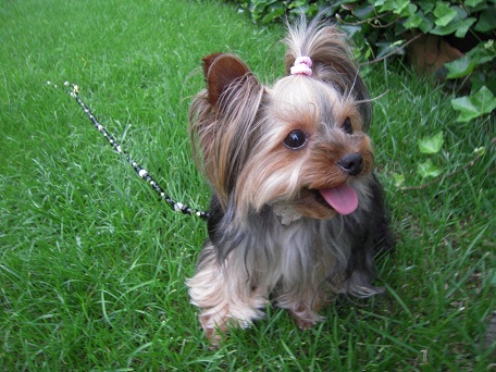 2011.06.15 DSCN4123.JPG